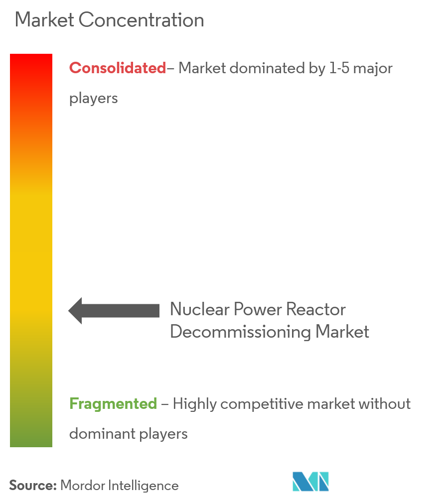 Concentración del mercado de desmantelamiento de reactores de energía nuclear